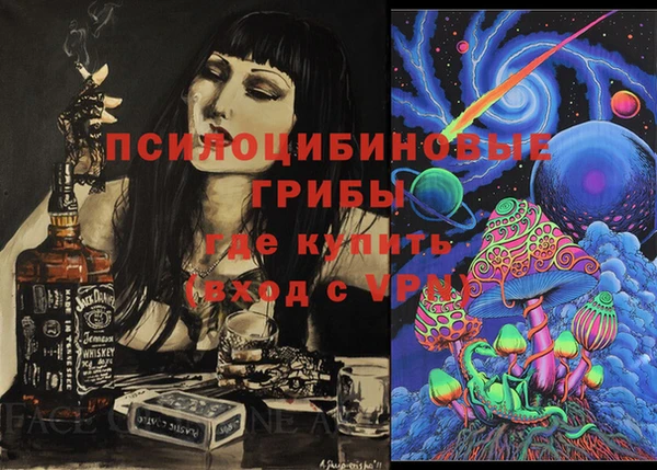 PSILOCYBIN Верхний Тагил