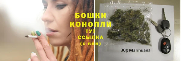 гидра Верея