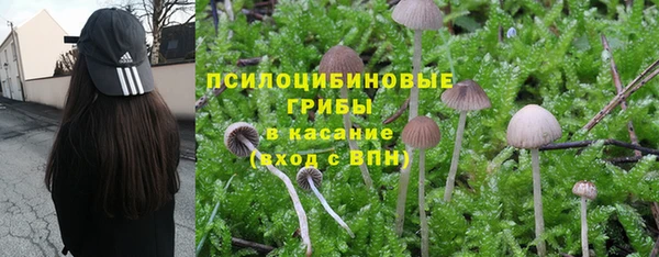 PSILOCYBIN Верхний Тагил
