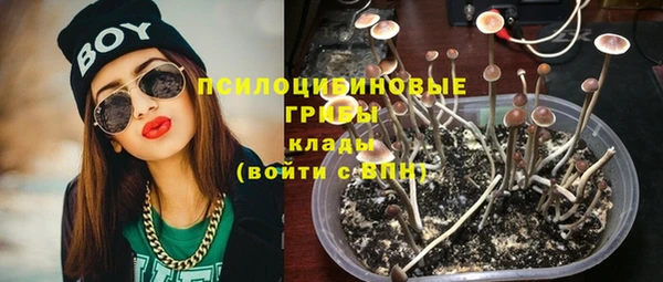 PSILOCYBIN Верхний Тагил