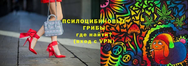 PSILOCYBIN Верхний Тагил